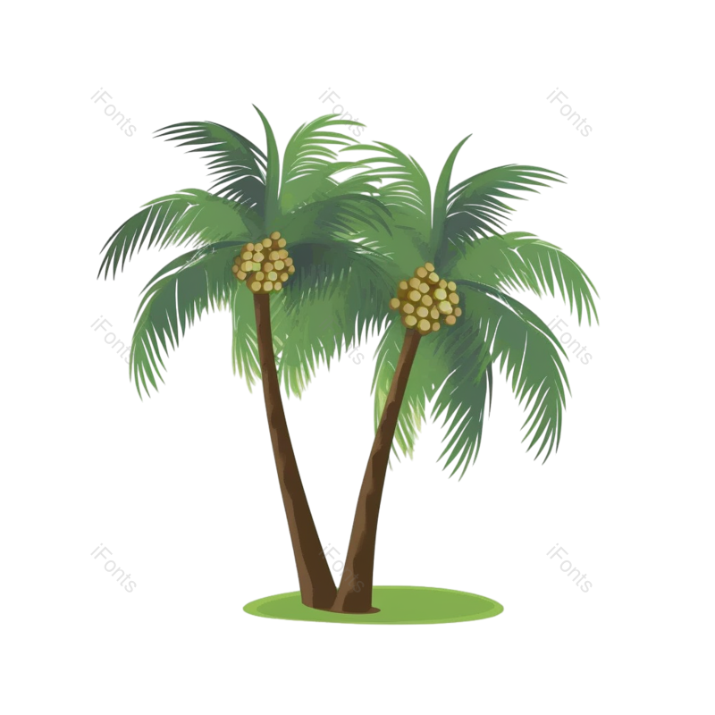 装饰图片,元素元素,夏天PNG,椰子免抠素材